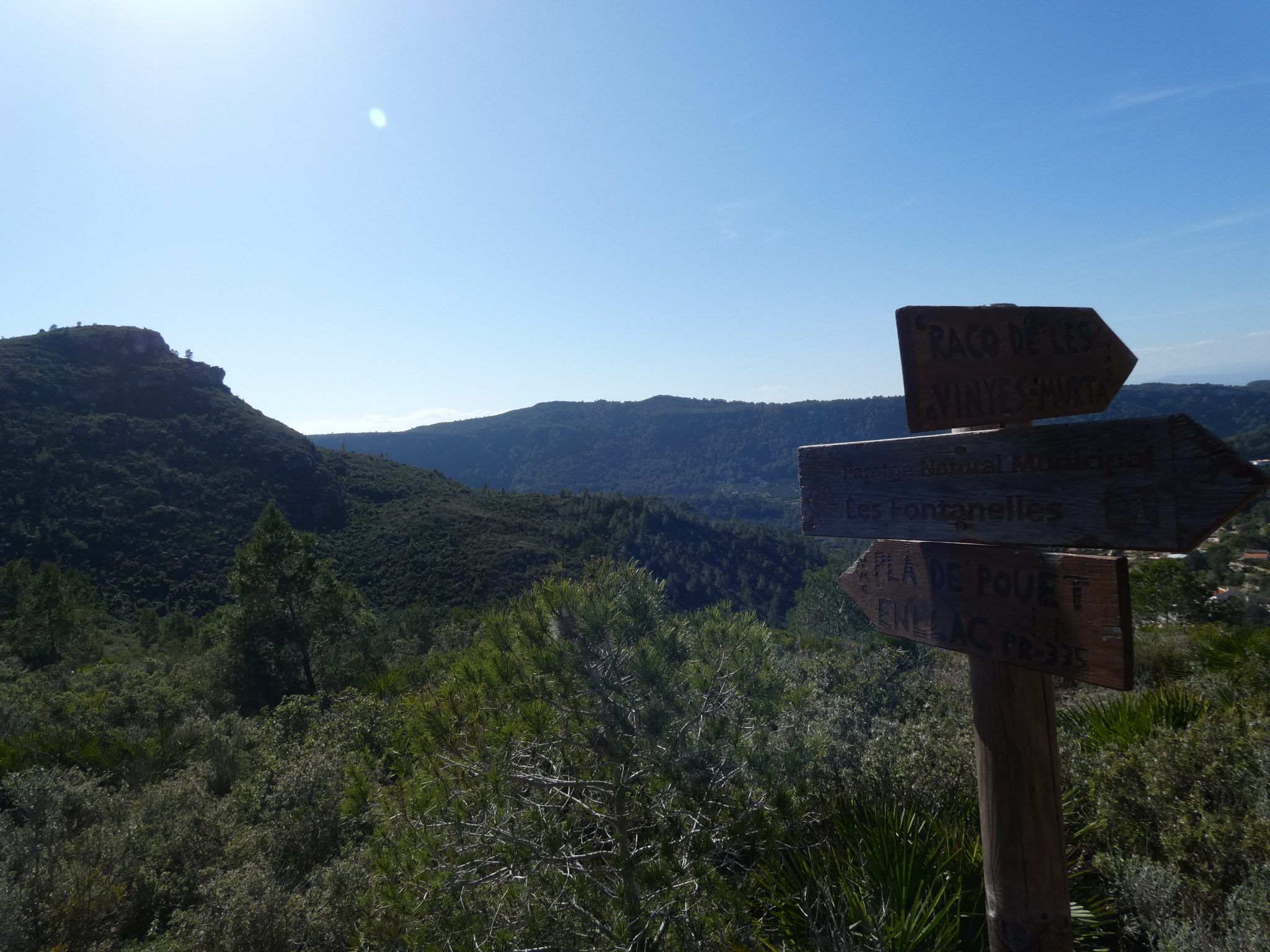 Alzira Ruta hasta el Cavall Bernat