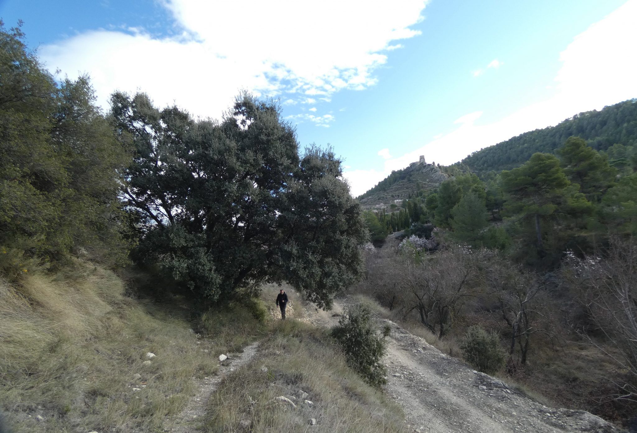 Benifallim Alt dels Plans, Cava del Rentonar, Castillo de Benifallim